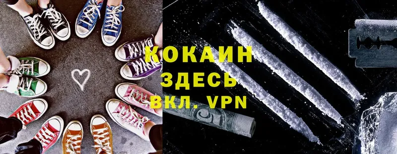 omg ссылки  Бакал  COCAIN VHQ 